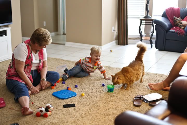 IMG_0785 photo IMG_0785_zps6b9d26e3.jpg