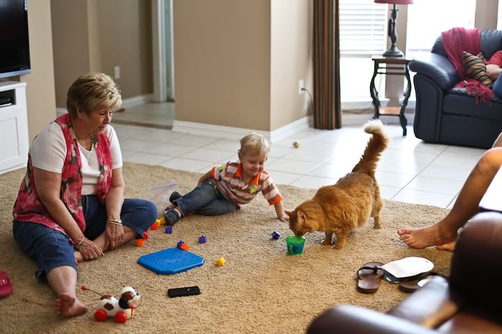 IMG_0787 photo IMG_0787_zps40629c56.jpg