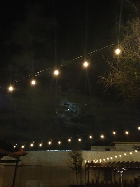 IMG_4543 photo IMG_4543_zps32faa4a4.jpg