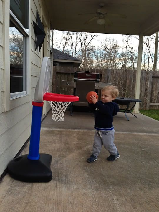 IMG_4599-2 photo IMG_4599-2_zps34feba51.jpg