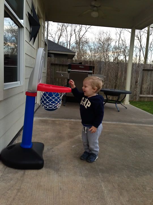 IMG_4603-2 photo IMG_4603-2_zpseb993f3b.jpg