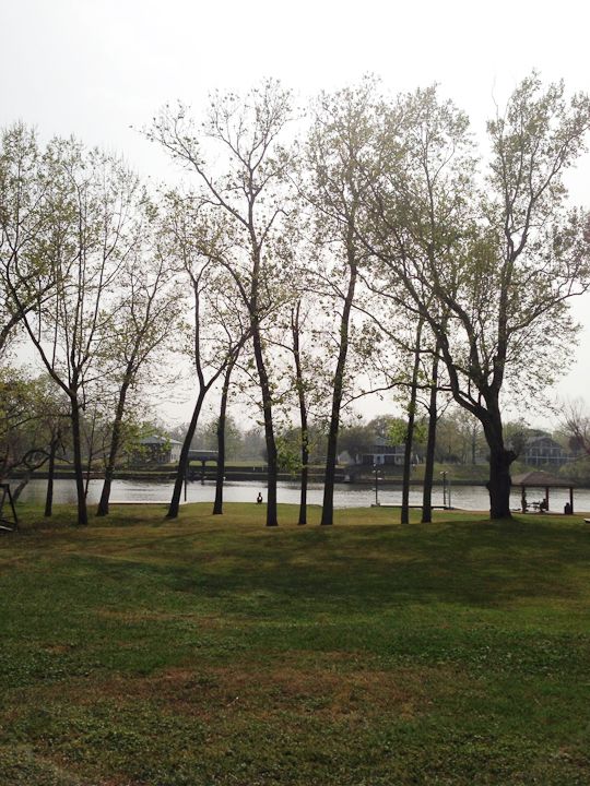  photo River-Beach-BuddyBucks-Ladybug-23_zps28b8501e.jpg