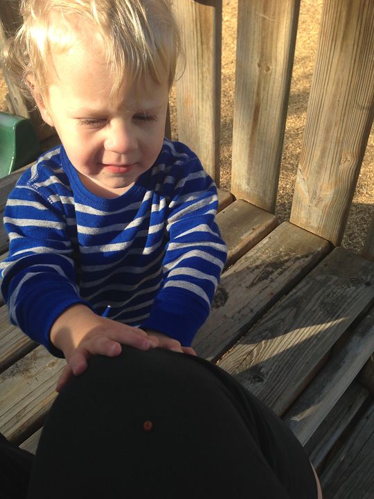  photo River-Beach-BuddyBucks-Ladybug-38_zps2486b333.jpg