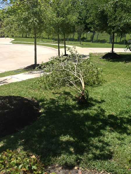  photo CellPhone-7_zps7a670c3f.jpg