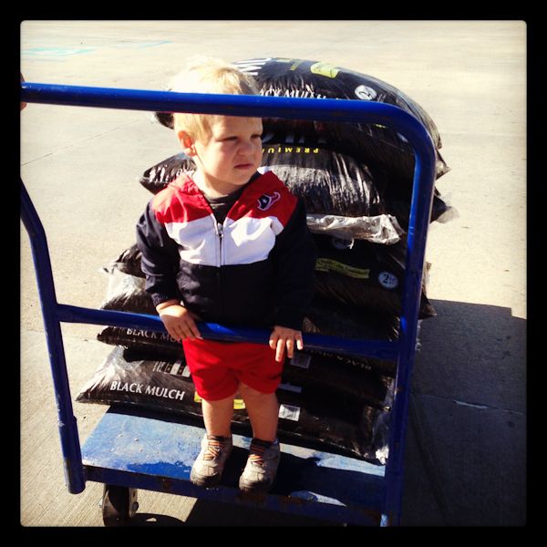  photo CellPhone-9_zps92e95696.jpg