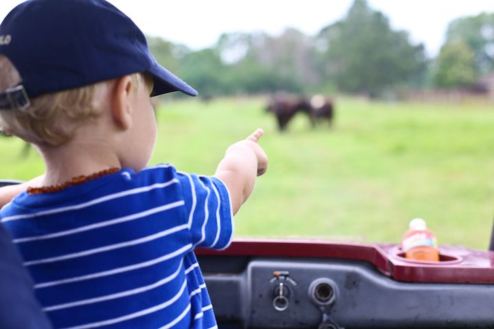  photo MemorialDayinPalestine-15_zps830878de.jpg