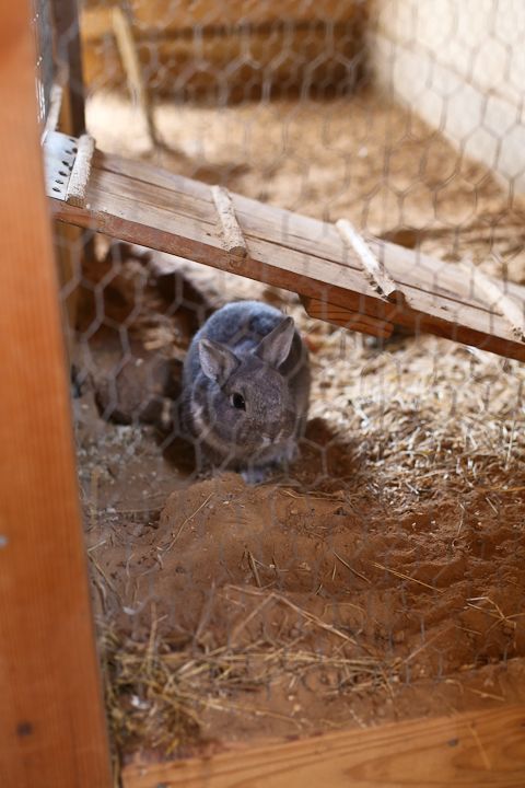  photo MemorialDayinPalestine-21_zpsc0707127.jpg