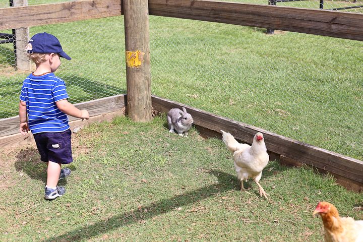  photo MemorialDayinPalestine-23_zpsc17dad92.jpg