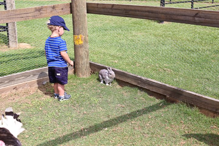  photo MemorialDayinPalestine-24_zps4f57f4ba.jpg