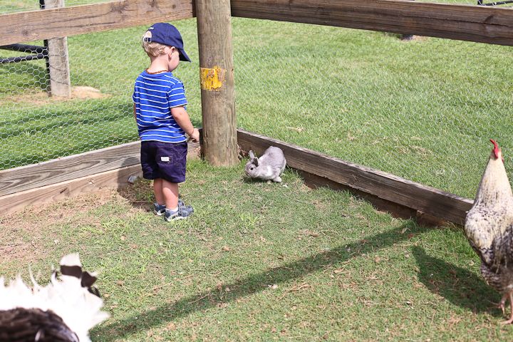  photo MemorialDayinPalestine-25_zps34c7a41a.jpg