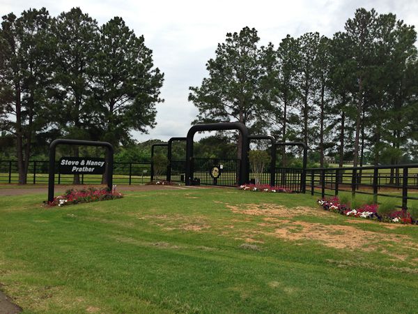  photo RandomCellphones-11_zpsda5610d1.jpg