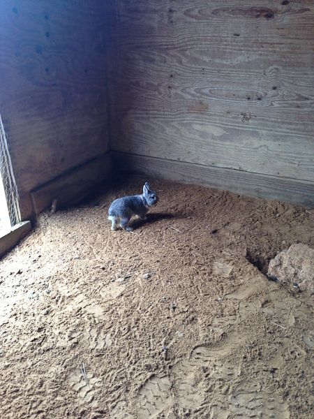  photo RandomCellphones-7_zpsf41a1a1a.jpg