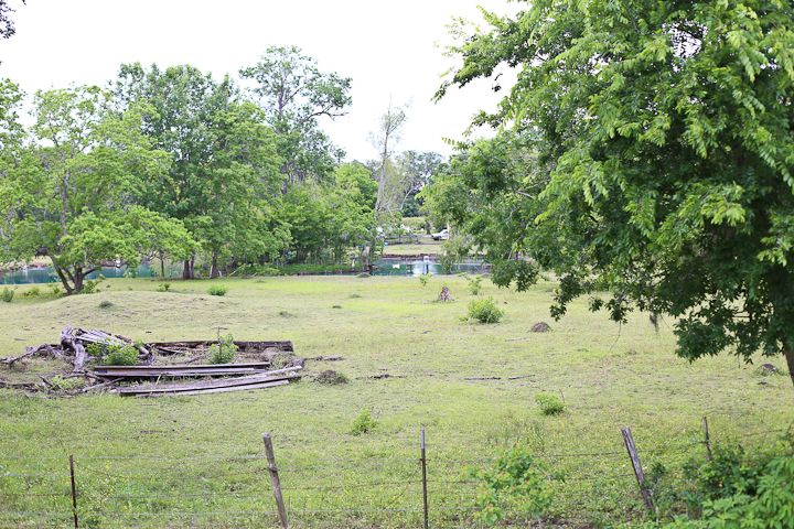  photo Week-Catchup-20_zpsbdeac3e0.jpg