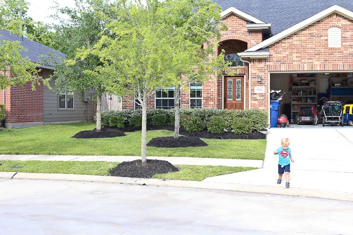  photo Week-Catchup-3_zps863e20fc.jpg