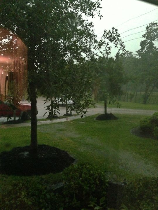  photo Week-Catchup-40_zpsad86bc6a.jpg