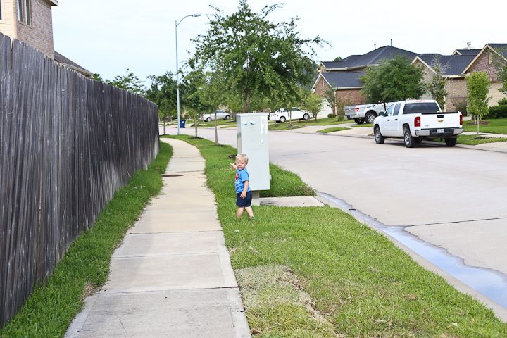  photo Week-Catchup-9_zpscde67bc2.jpg