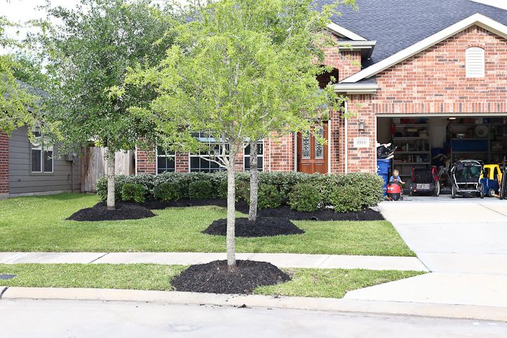  photo Week-Catchup_zpsfa93be14.jpg