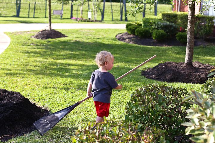  photo YardWork-GaryBday-12_zps93ce90d9.jpg