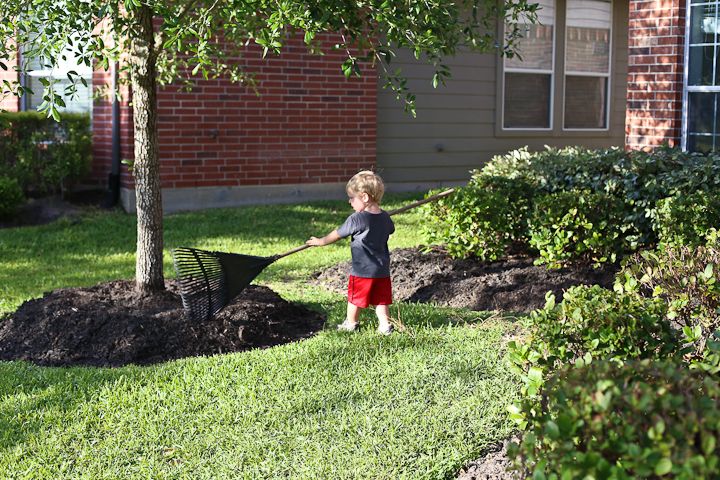  photo YardWork-GaryBday-13_zps146edfe1.jpg