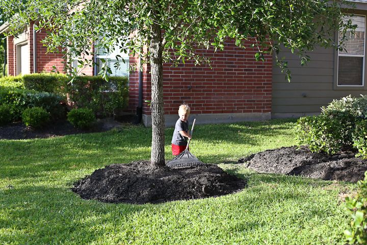  photo YardWork-GaryBday-14_zps64fdaae5.jpg