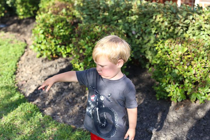  photo YardWork-GaryBday-15_zpse4a498af.jpg