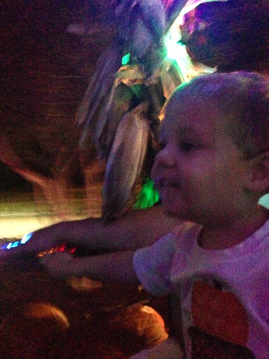  photo Cellphone-16_zps3cf36d78.jpg