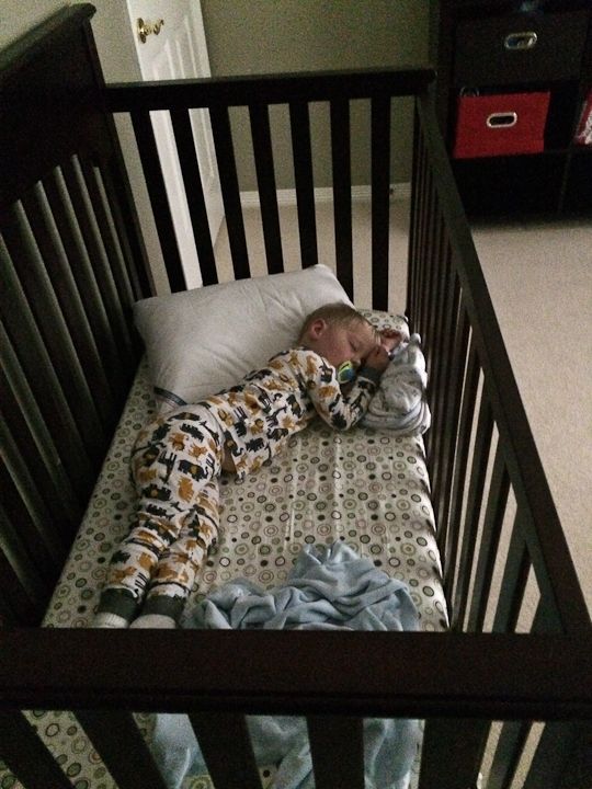  photo Cellphone-3_zps8bc50122.jpg