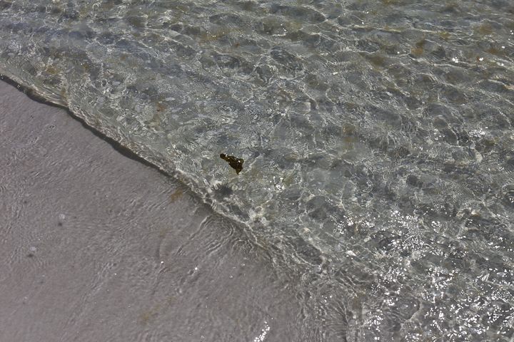  photo Destin-11_zps9a1c1a4a.jpg