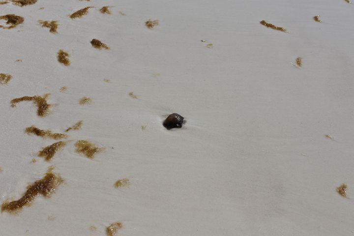  photo Destin-13_zpsdc0d6b91.jpg