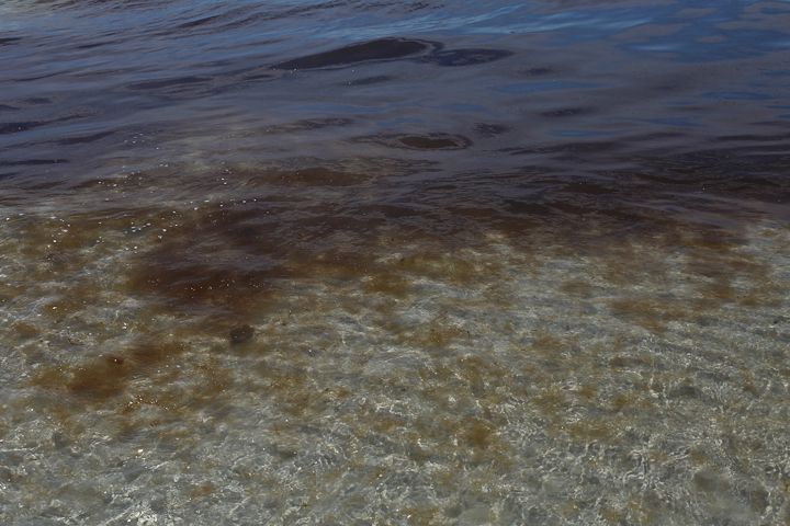  photo Destin-8_zps56f7d8d1.jpg