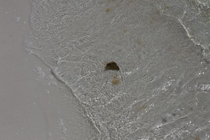  photo Destin-9_zps3ea5025b.jpg