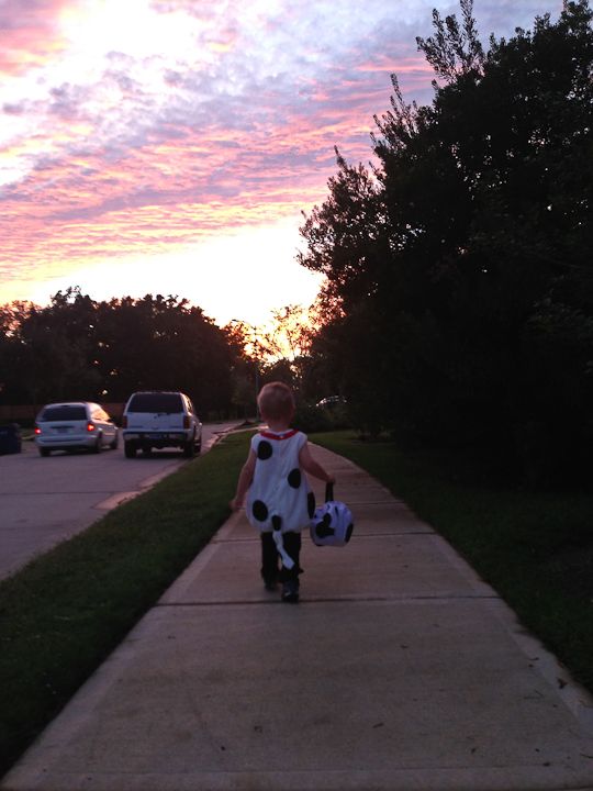  photo Halloween-5_zps9be81fc7.jpg