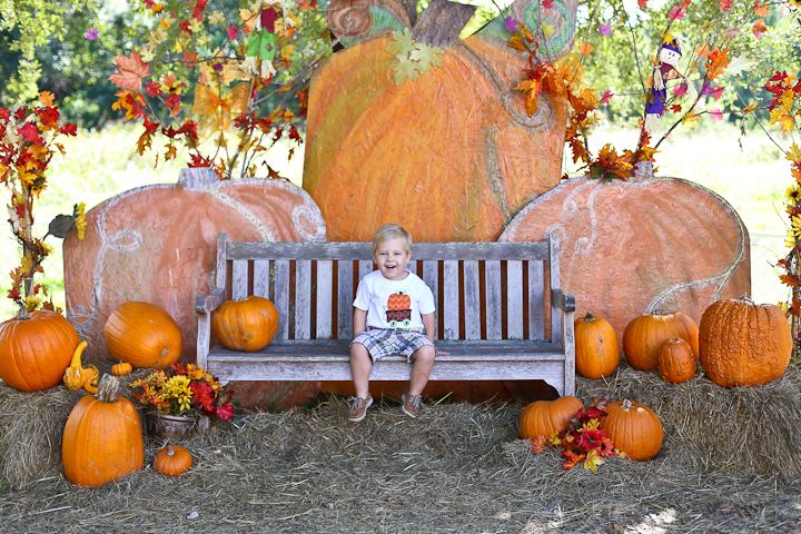  photo PumpkinPatch-10_zpsb1a34aba.jpg