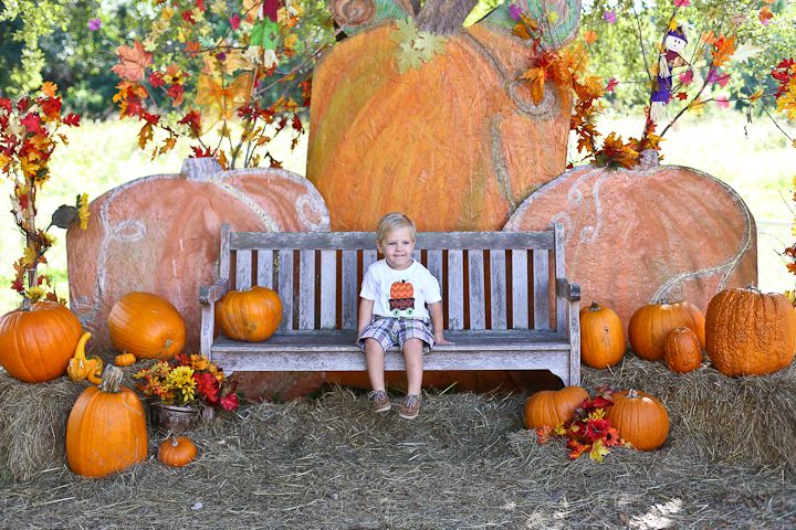  photo PumpkinPatch-11_zps062c8f40.jpg