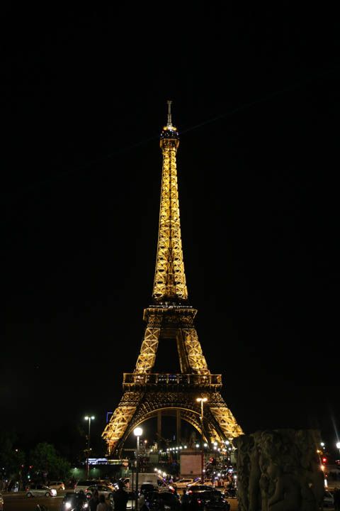  photo DinnernadEiffelToweratNight-37_zps179ca536.jpg