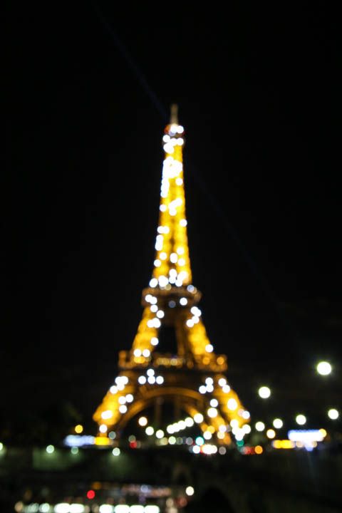  photo DinnernadEiffelToweratNight-41_zpsa5008a2b.jpg