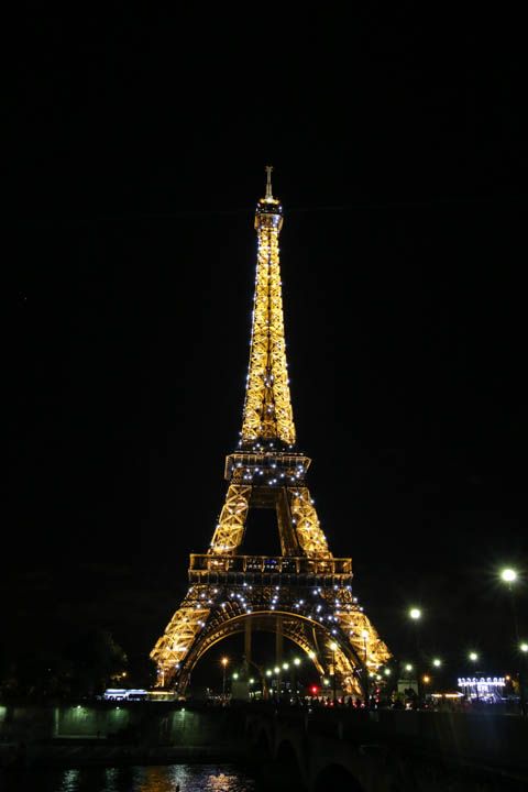  photo DinnernadEiffelToweratNight-42_zps79b474bf.jpg