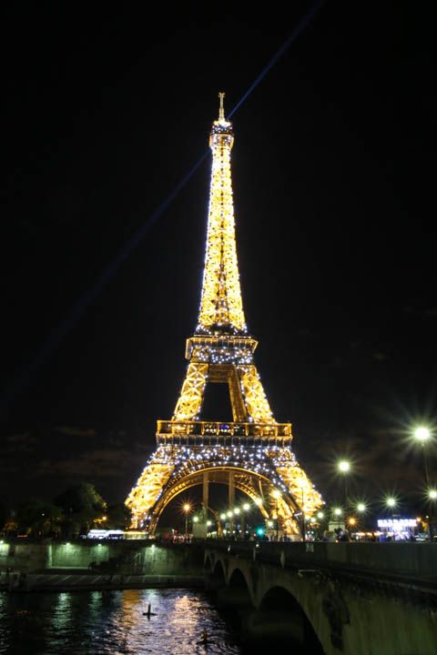  photo DinnernadEiffelToweratNight-43_zps38355c7f.jpg