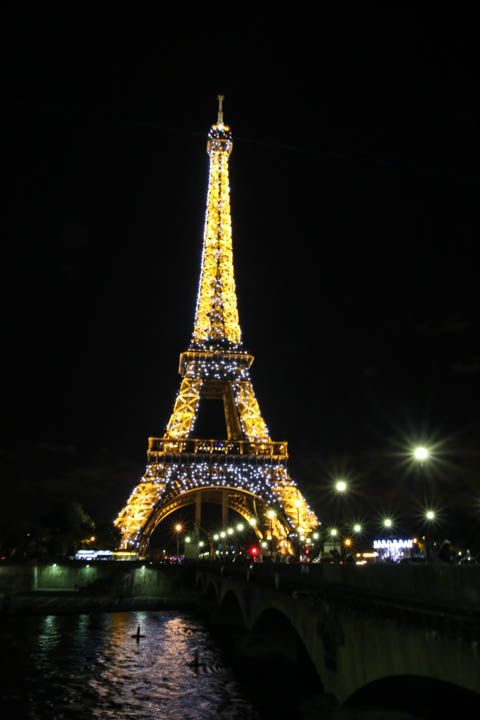  photo DinnernadEiffelToweratNight-44_zps59c50d6d.jpg