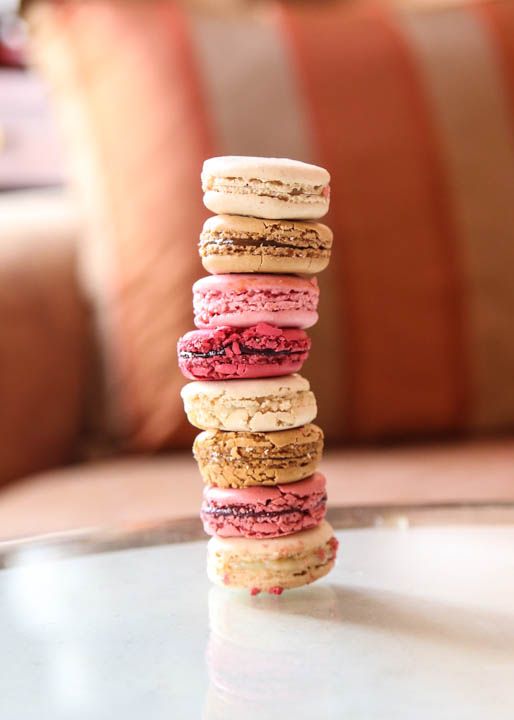  photo Macrons-2_zpsbeb68340.jpg