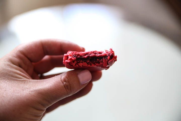  photo Macrons-4_zps64e3fb6c.jpg