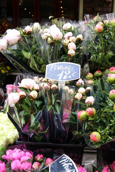  photo RueClerandChampsElysees-10_zpsb00ba90f.jpg