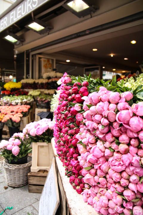  photo RueClerandChampsElysees-15_zpseaf30e4a.jpg