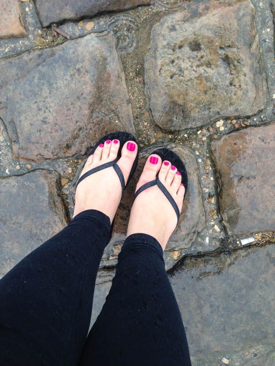  photo Versailles-59_zps0bfc19e4.jpg