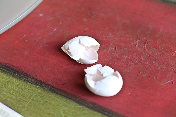  photo EasterSaturday-50_zps26fe2434.jpg