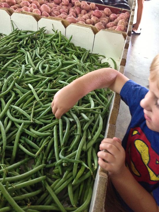  photo PinkEyePoolBounceHouse-22_zps91c4828d.jpg