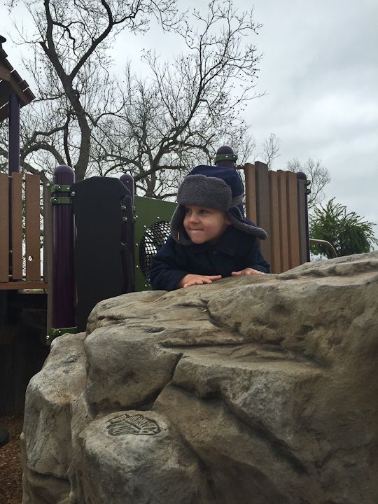  photo New-3_zpsqxe0rojz.jpg