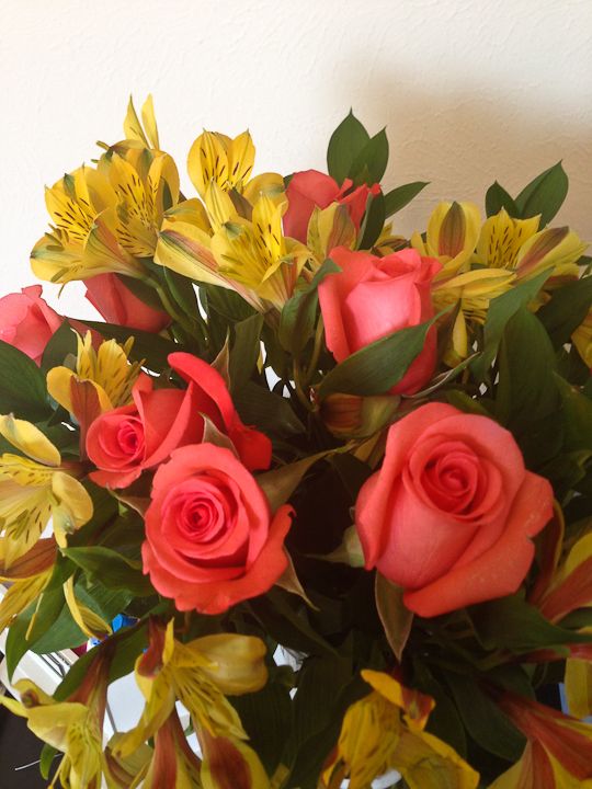  photo ValentinesDay-3_zpsfe8689bc.jpg