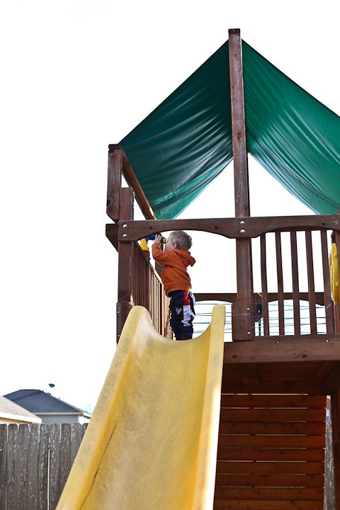  photo Backyard-4_zps2f5db851.jpg