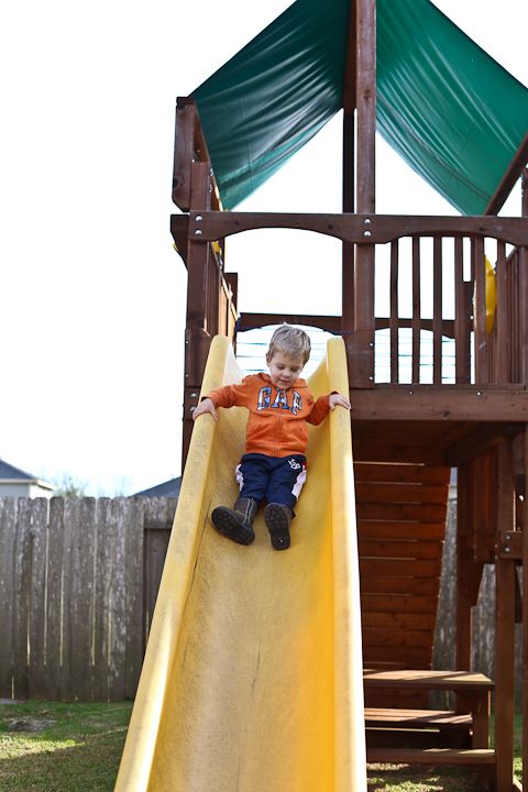  photo Backyard-5_zps198109a6.jpg